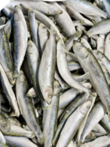 Dougies Sprats 1kg