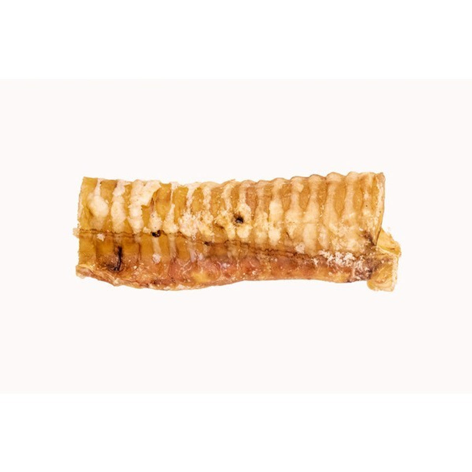 Beef Trachea 15cm