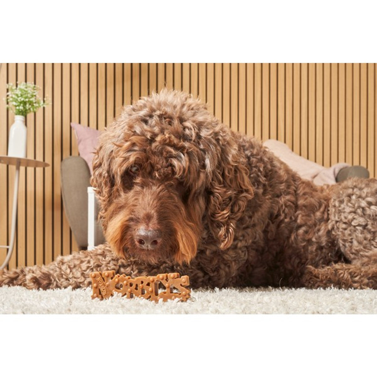 Petello Nobblys Original Peanut Butter Dog Chew
