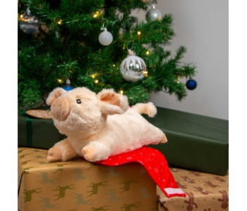 Christmas Paloma Pig in Blanket