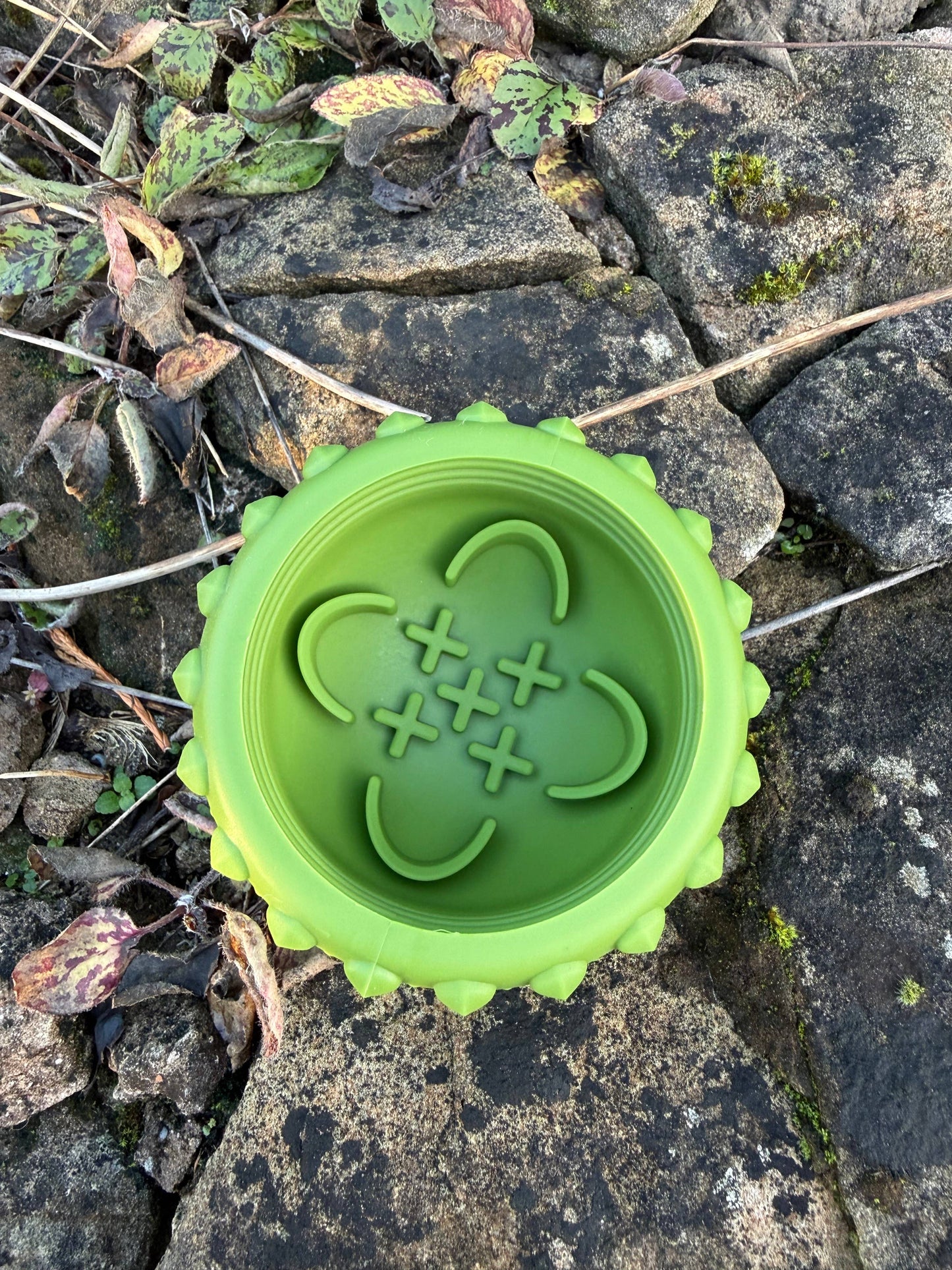 Bodhi & The Birchtree - Acorn Dog Treat Dispenser - Green & Lime