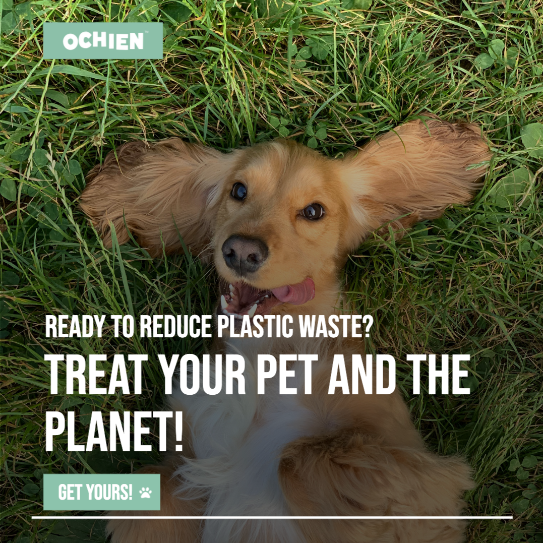 Recycled Ocean Plastic Dog Bowl: Ocean Blue