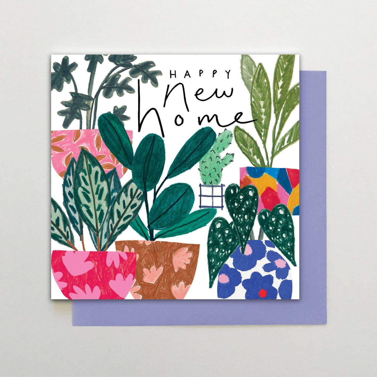 Stop the Clock Design - HA24 - Happy New Home Plants