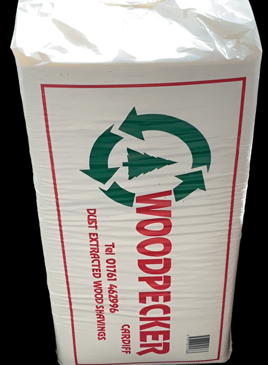Woodpecker