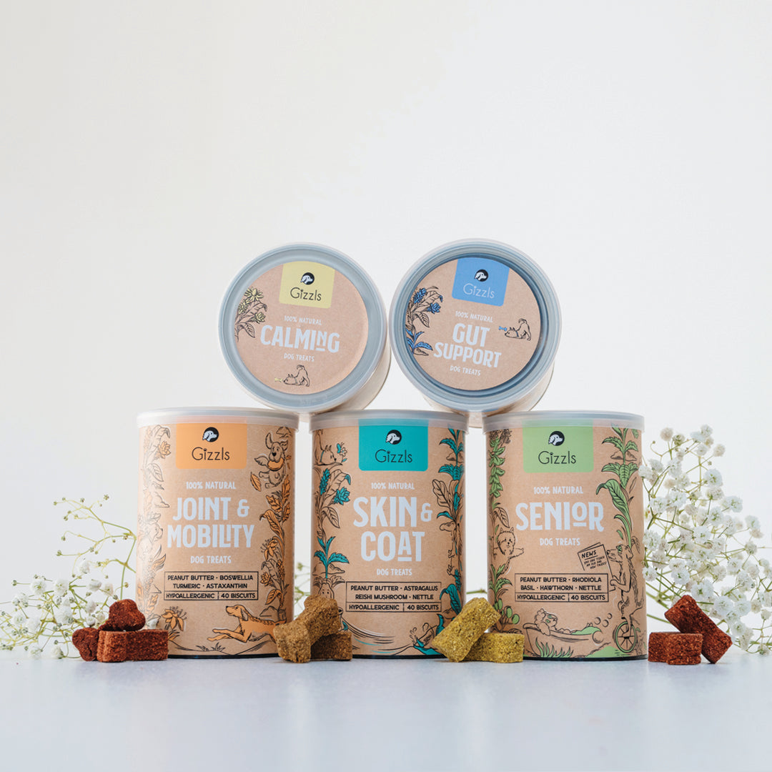 Joint & Mobility Dog Treats