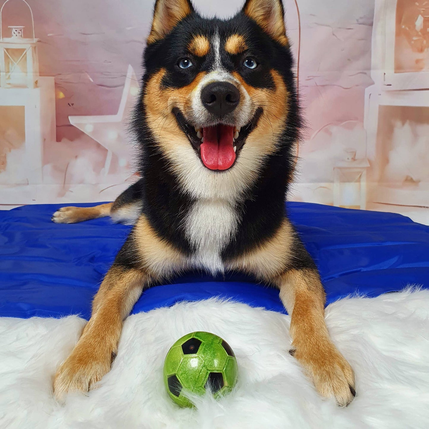 Play Time For Dogs - Chase Floating Sports Ball