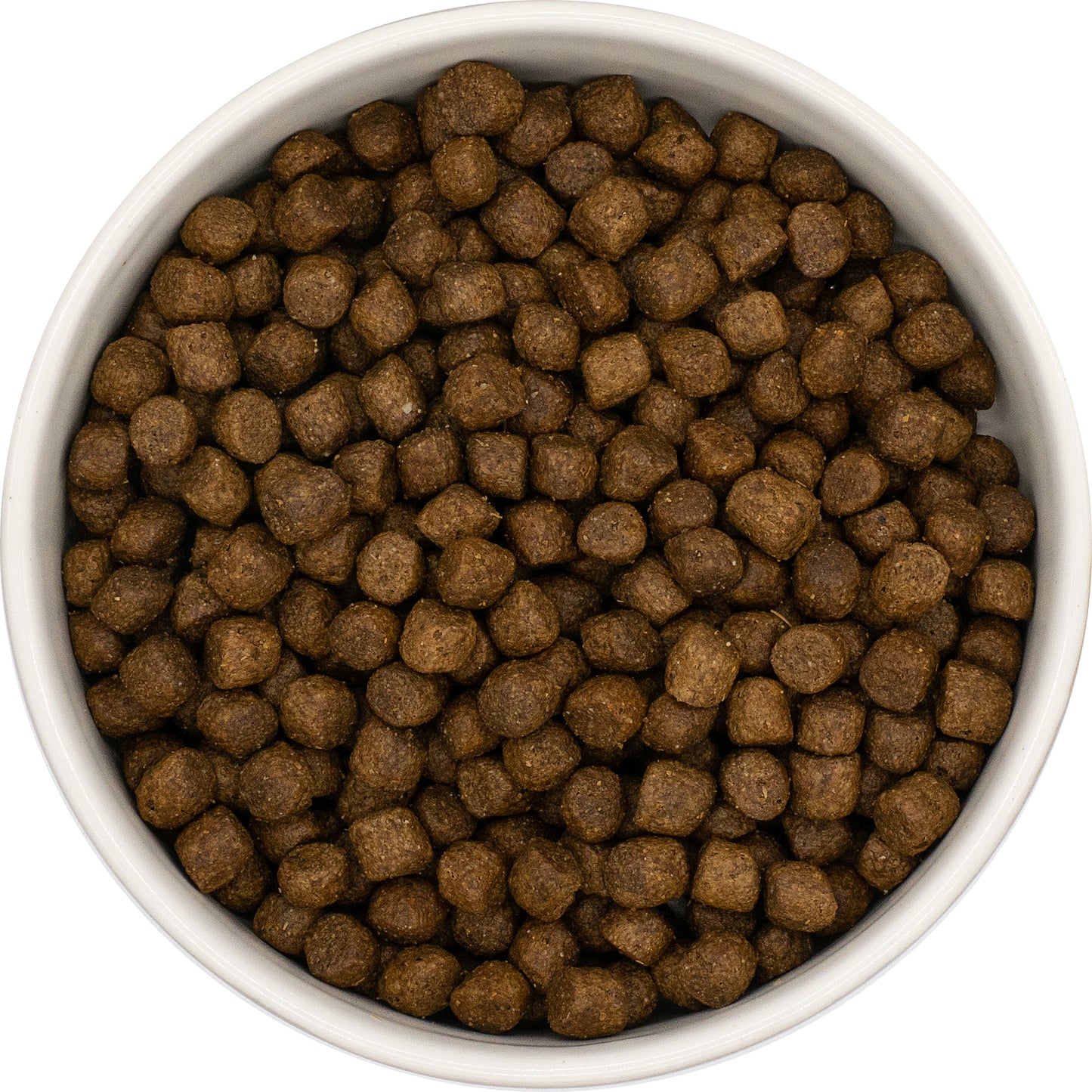 Everest & Co Puppy Chicken with Rice WD 15kg