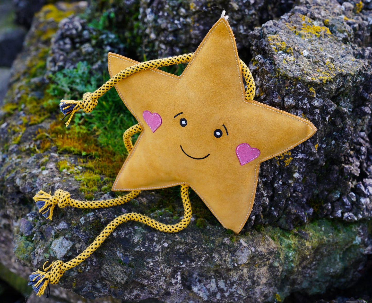 Star XL Dog and Horse Eco Toy