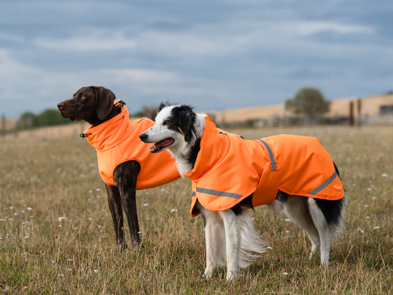 Luxe Waterproof Dog Coat 250g - Orange High Viz