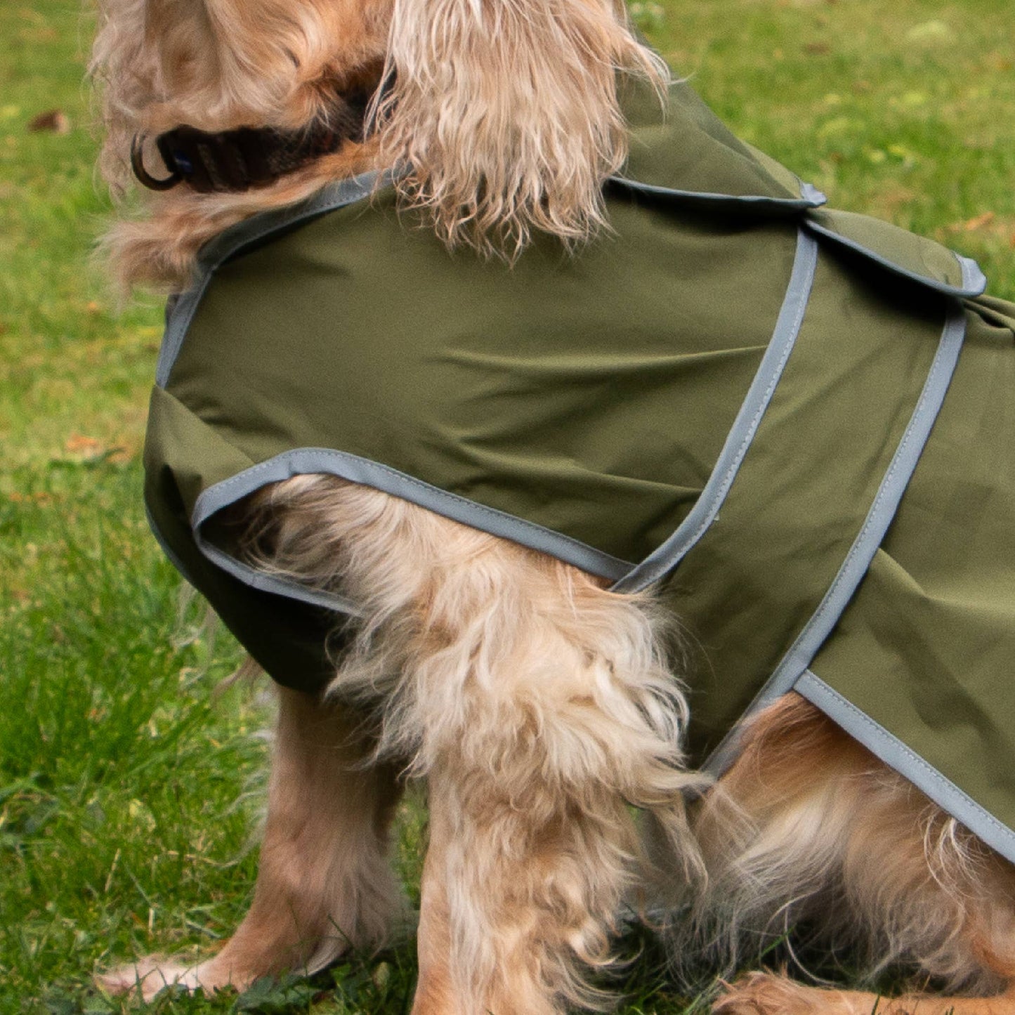 Ancol Stormguard Soft Shell Dog Coat Khaki