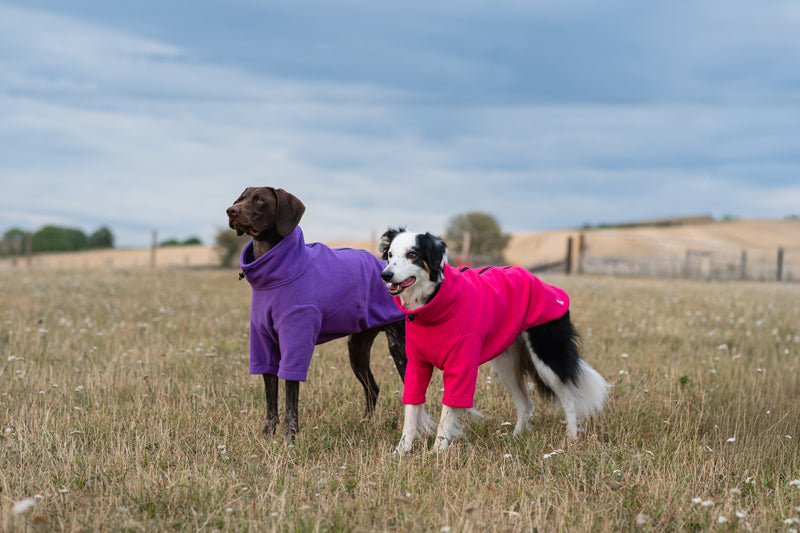Fleece Dog Jumper - Pink