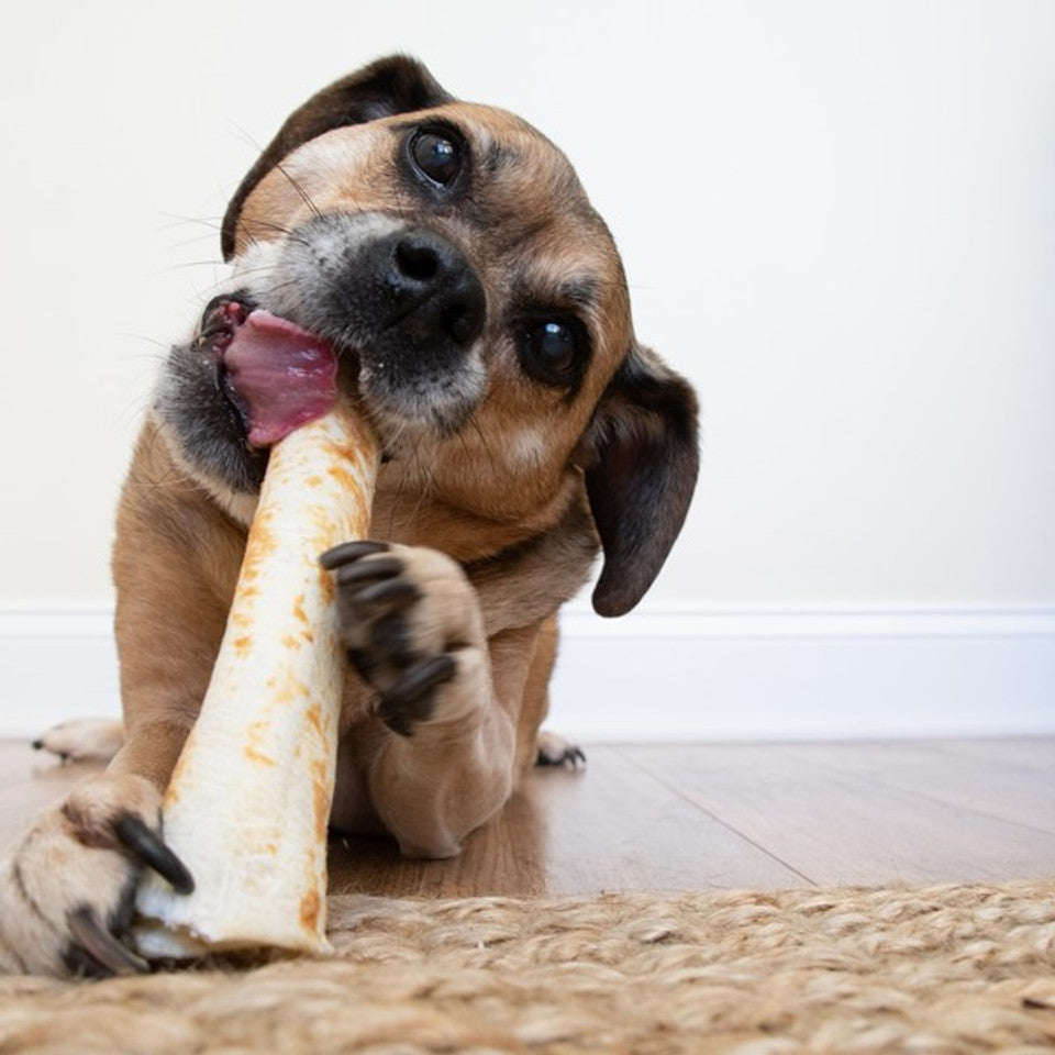 Rawhide Alternatives