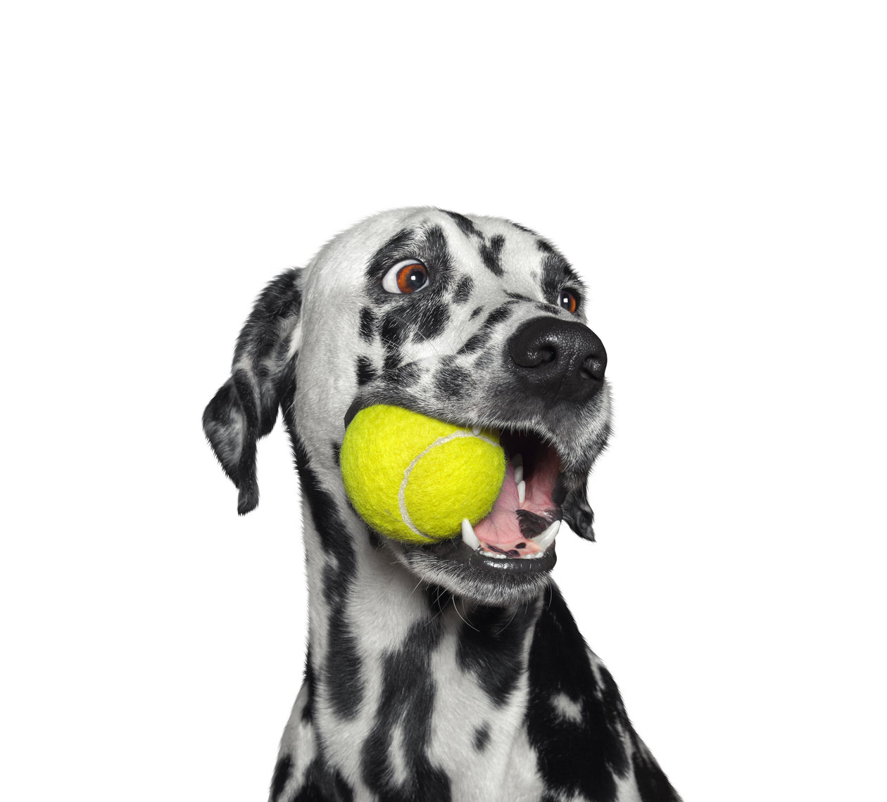 Balls