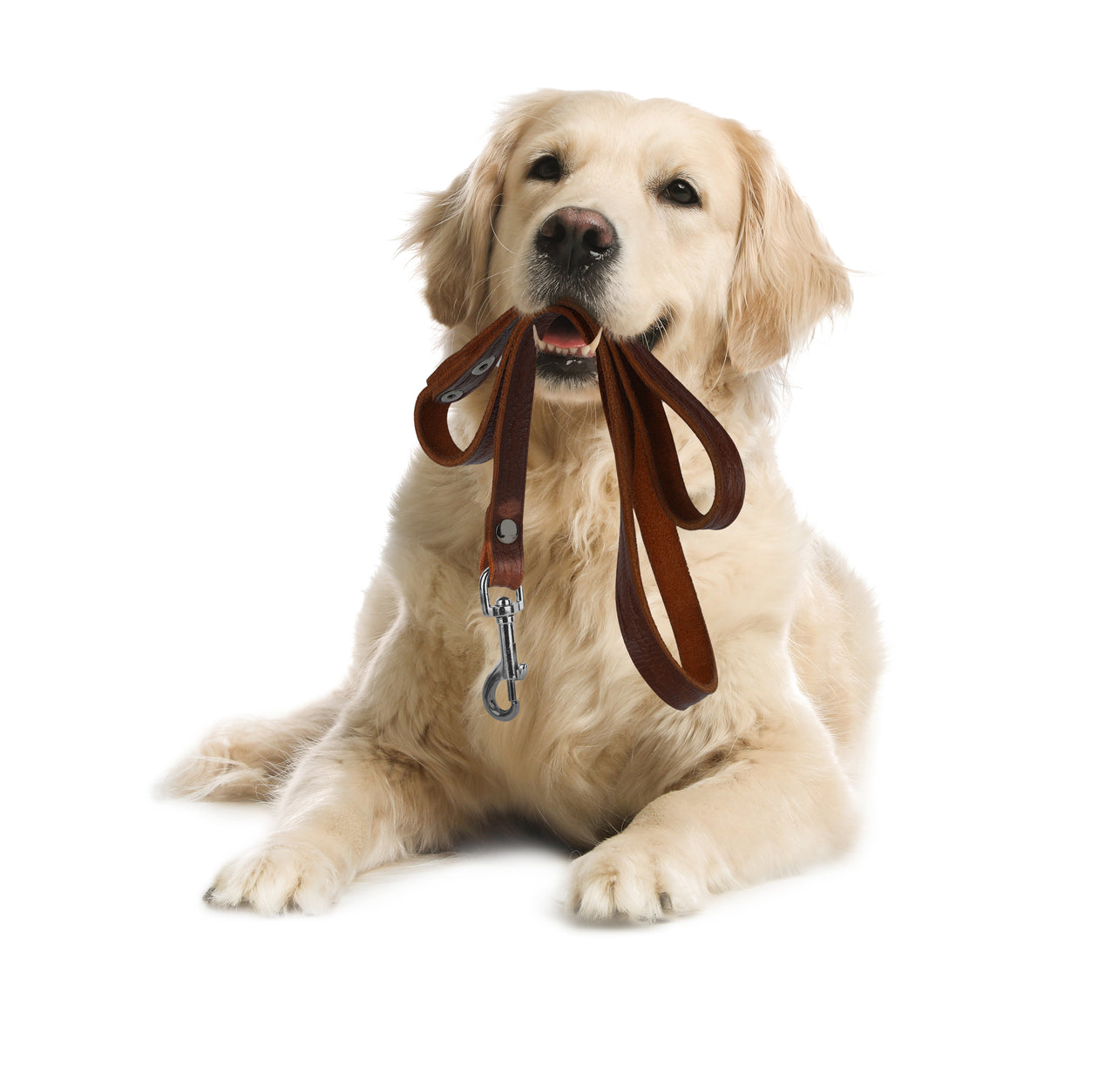 Leads