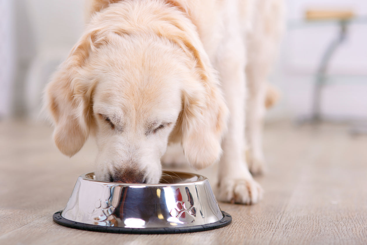 Dry Food