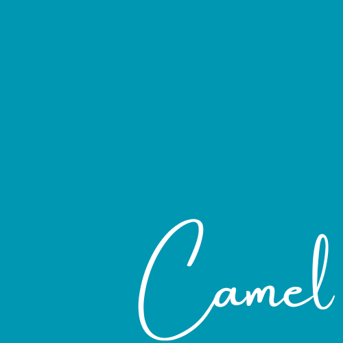 Camel