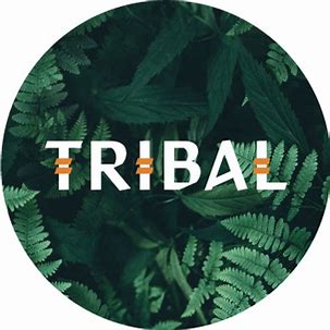 Tribal