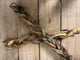 Braided Pizzles 24cm