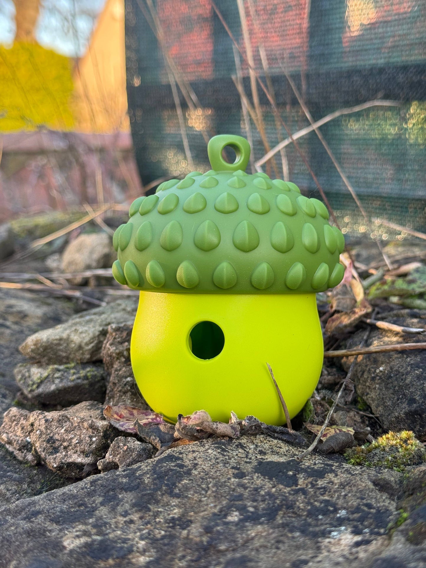 Bodhi & The Birchtree - Acorn Dog Treat Dispenser - Green & Lime
