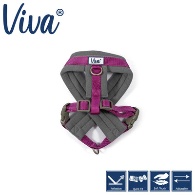 Viva Padded Harness Purple: Small
