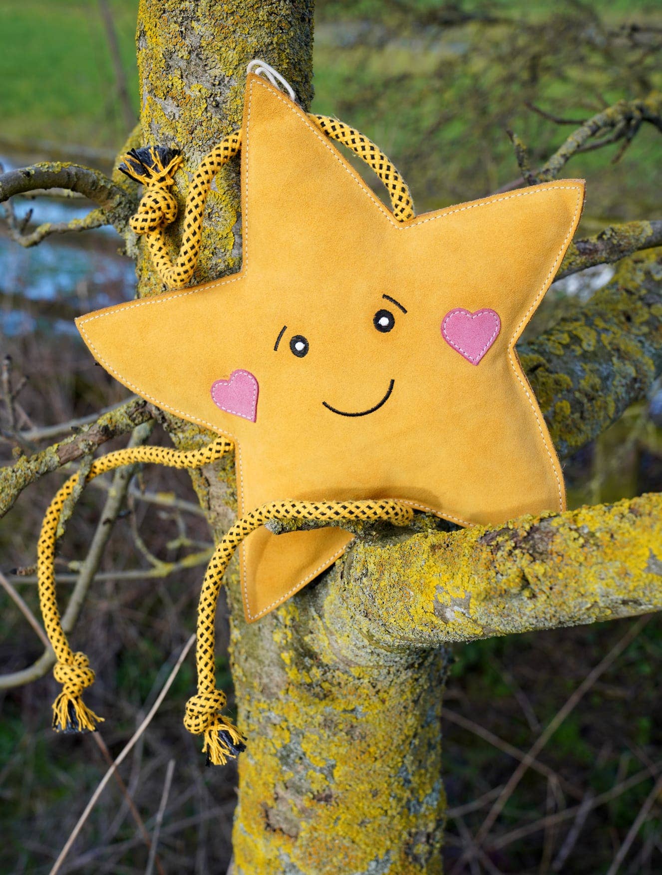 Star XL Dog and Horse Eco Toy