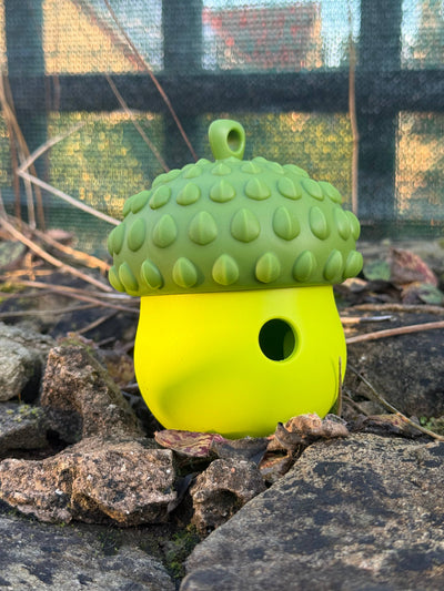 Bodhi & The Birchtree - Acorn Dog Treat Dispenser - Green & Lime