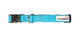 Doodlebone Padded Dog Collar
