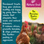 Natures Grub Garlic, Herbs & Seaweed Pecking Block 330g