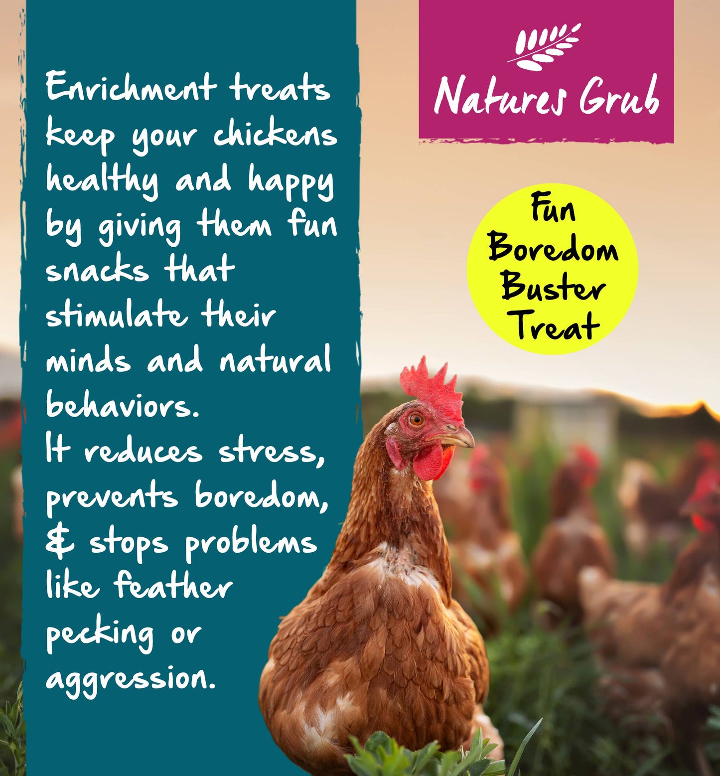 Natures Grub Garlic, Herbs & Seaweed Pecking Block 330g