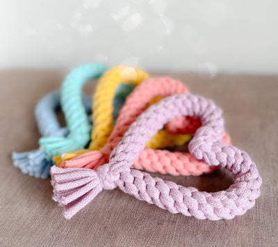 Heart Dog Toy