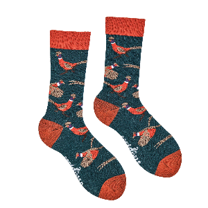 Pair of socks with pheasant pattern on a white background