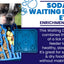 Waiting Dogs Design eTray Enrichment Tray for Dogs