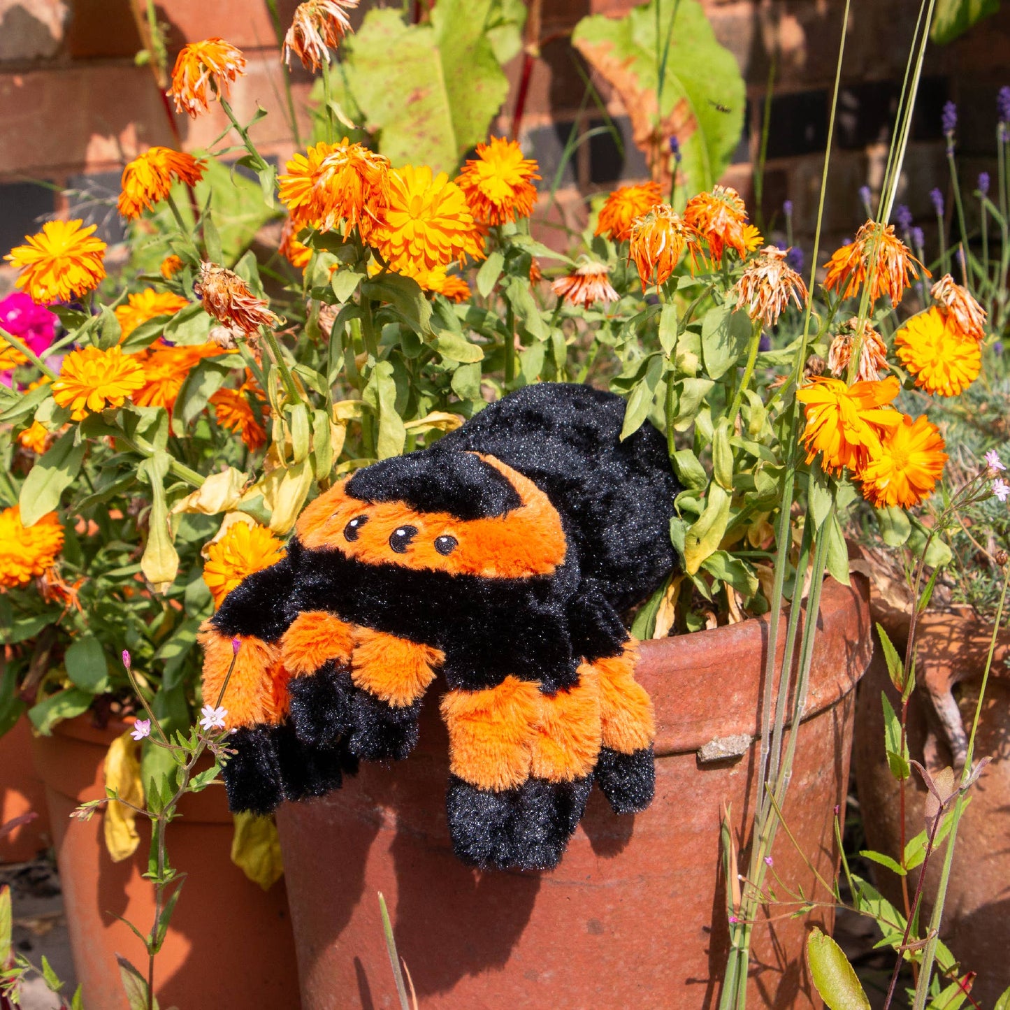 Cuddly Critters Dog Toys