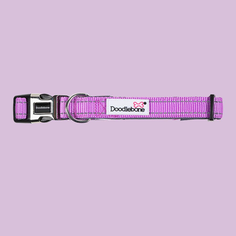 Doodlebone Padded Dog Collar