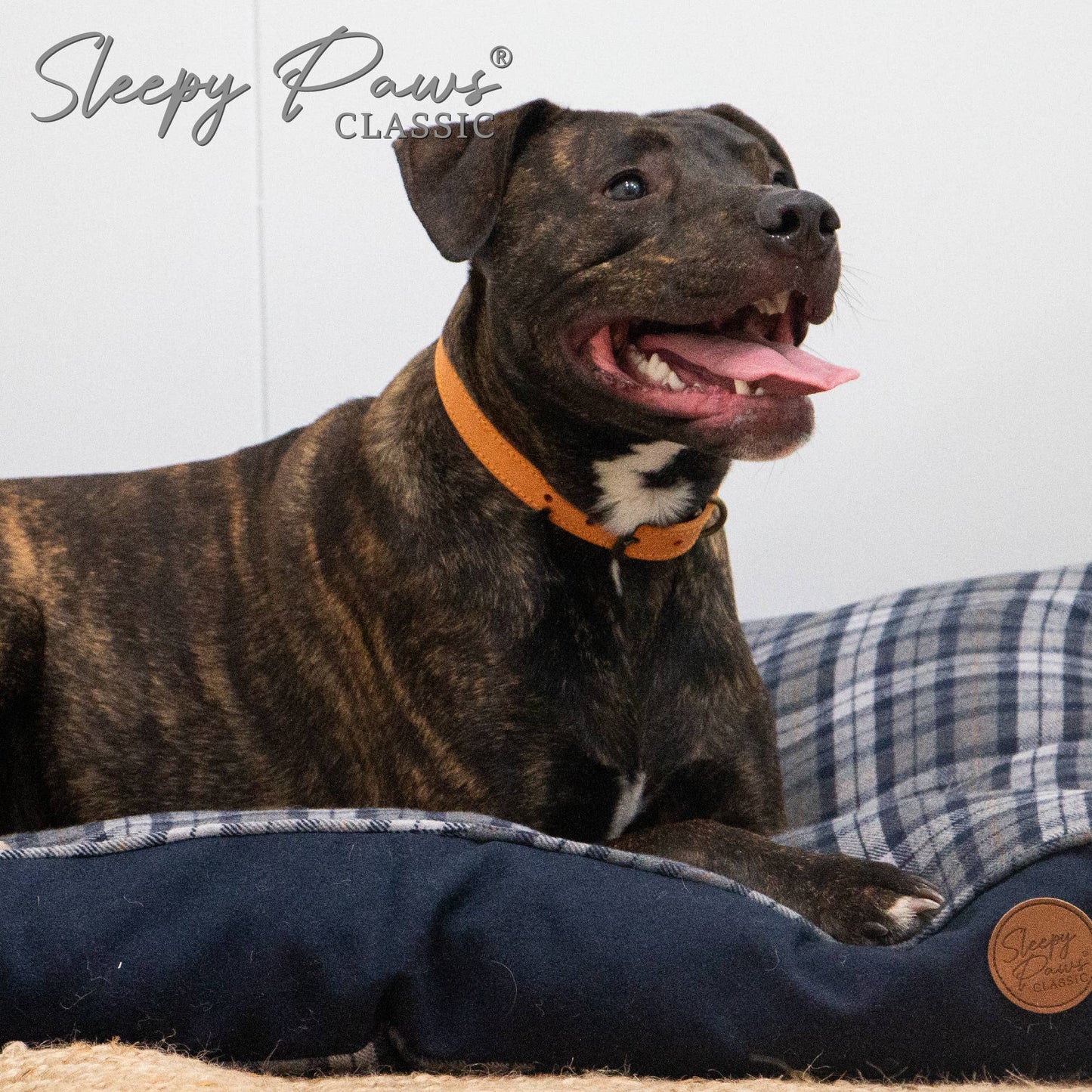 Ancol Pet Products Ltd - Sleepy Paws Tartan Mattress Blue/Grey 75 x 60 cm