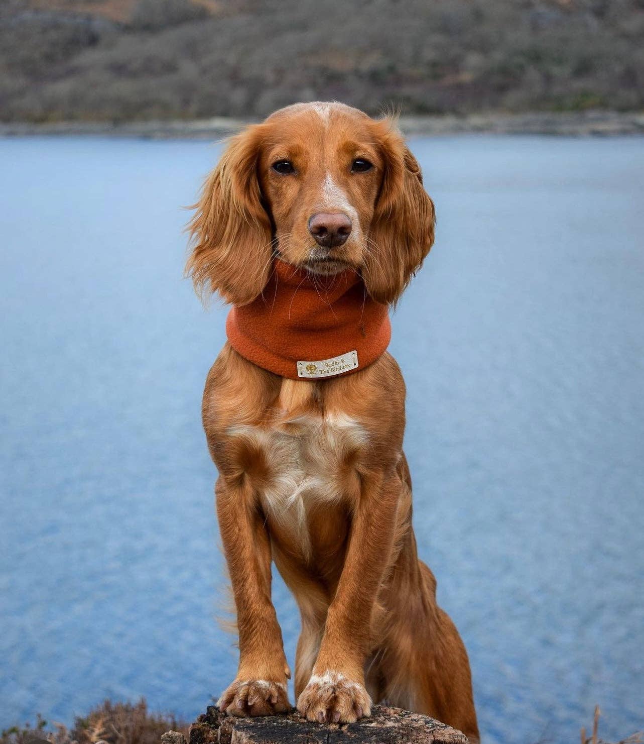 Bodhi & The Birchtree - Bodhi & The Birchtree Burnt Orange Fleece Snood