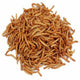 Loose Mealworms