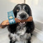 Pet Wiz - Olive Wood Chew - Enriched with Olive Oil
