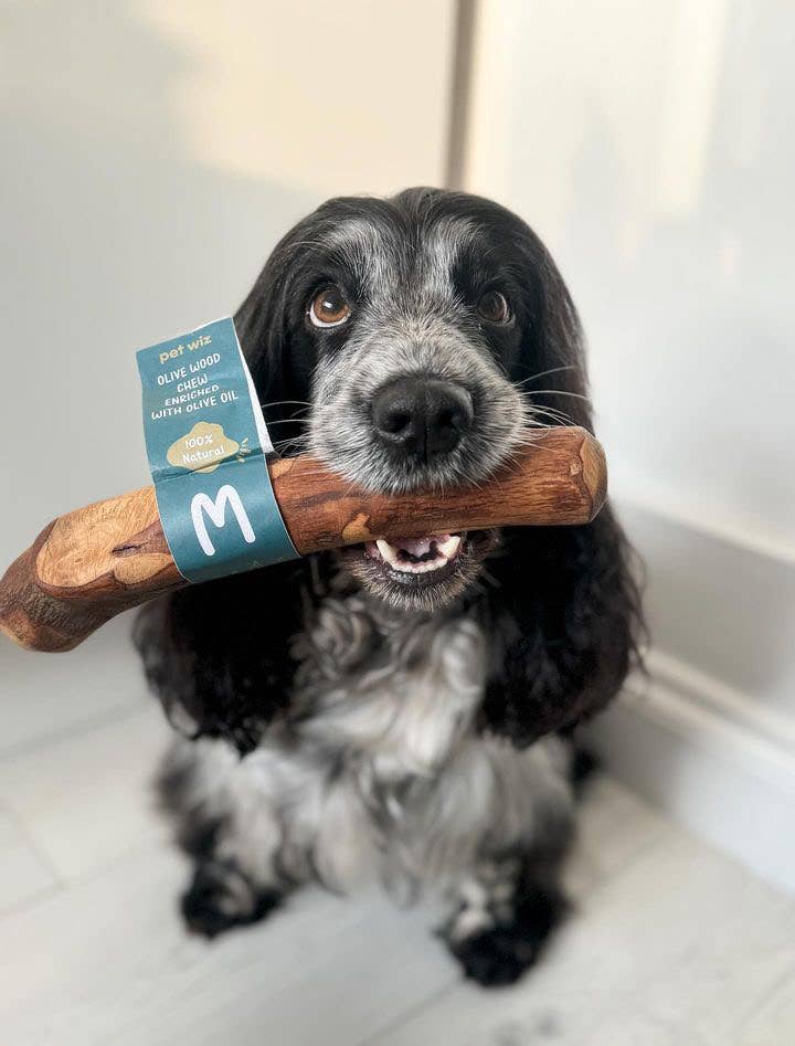 Pet Wiz - Olive Wood Chew - Enriched with Olive Oil