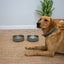 Double Wall Stainless Steel Bowl Sage Green