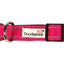 Doodlebone Padded Dog Collar