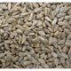 Sunflower Hearts