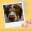 Betty Miller Liver Bones