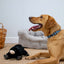 Ancol Pet Products Ltd - Heritage Montgomery Mole  Plush  Dog Toy