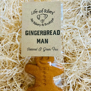 Christmas Gingerbread Man