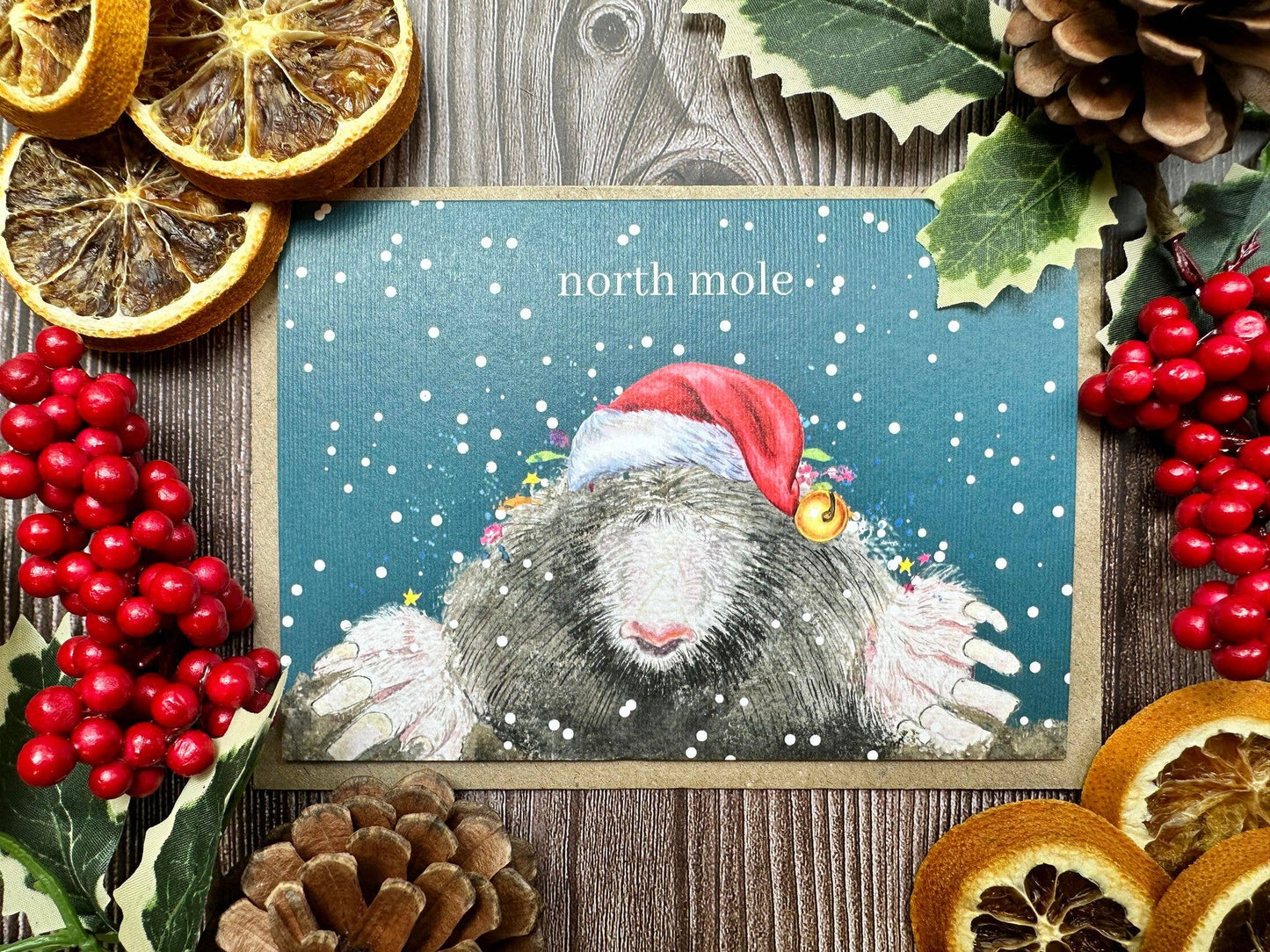 North Mole Christmas Eco Friendly Art Card cute funny blank