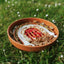 Bodhi & The Birchtree - Rainbow Enrichment Bowl Terracotta