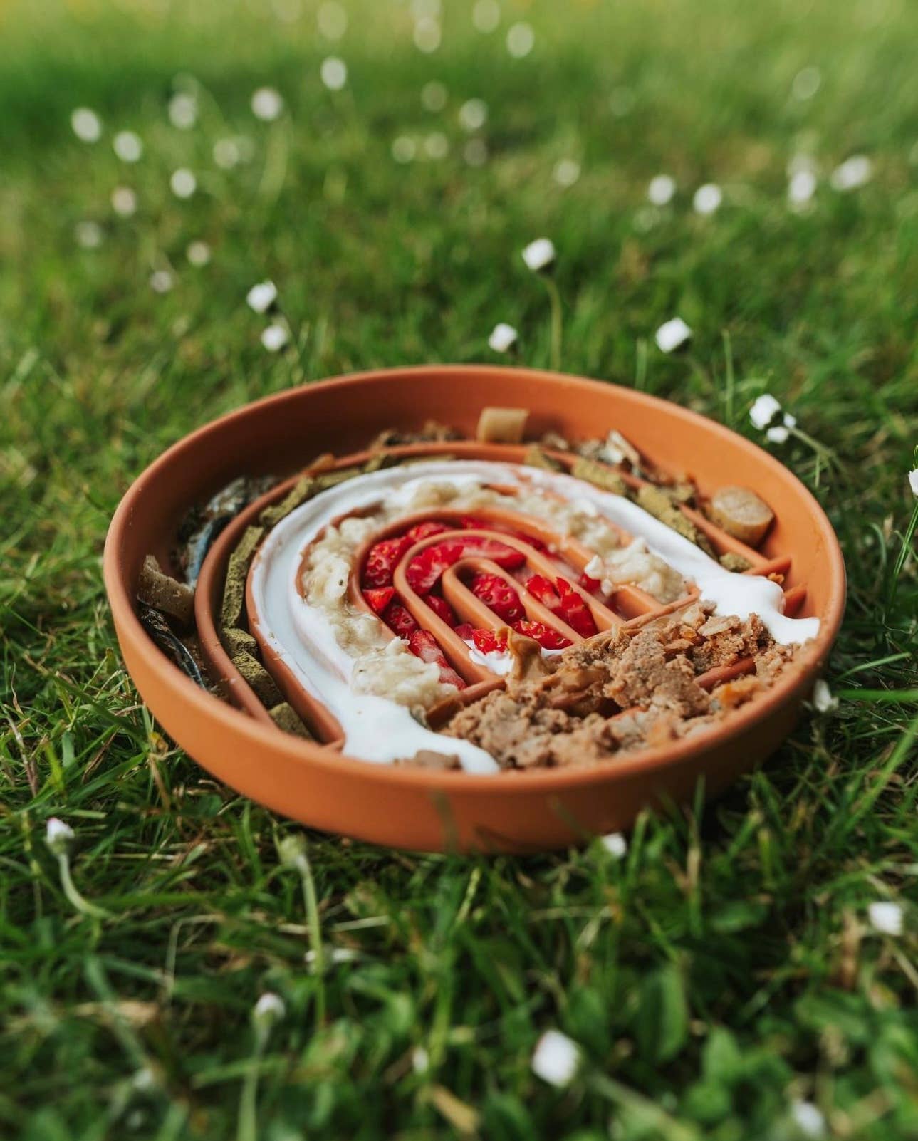 Bodhi & The Birchtree - Rainbow Enrichment Bowl Terracotta