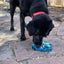 Mandala Design eTray Enrichment Tray for Dogs: Pink