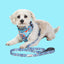 Adjustable Airmesh Dog Harness